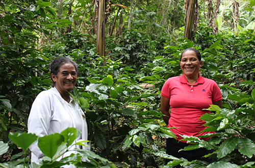 Så ger kaffe och jämställdhet kvinnorna i Nicaragua framtidshopp
